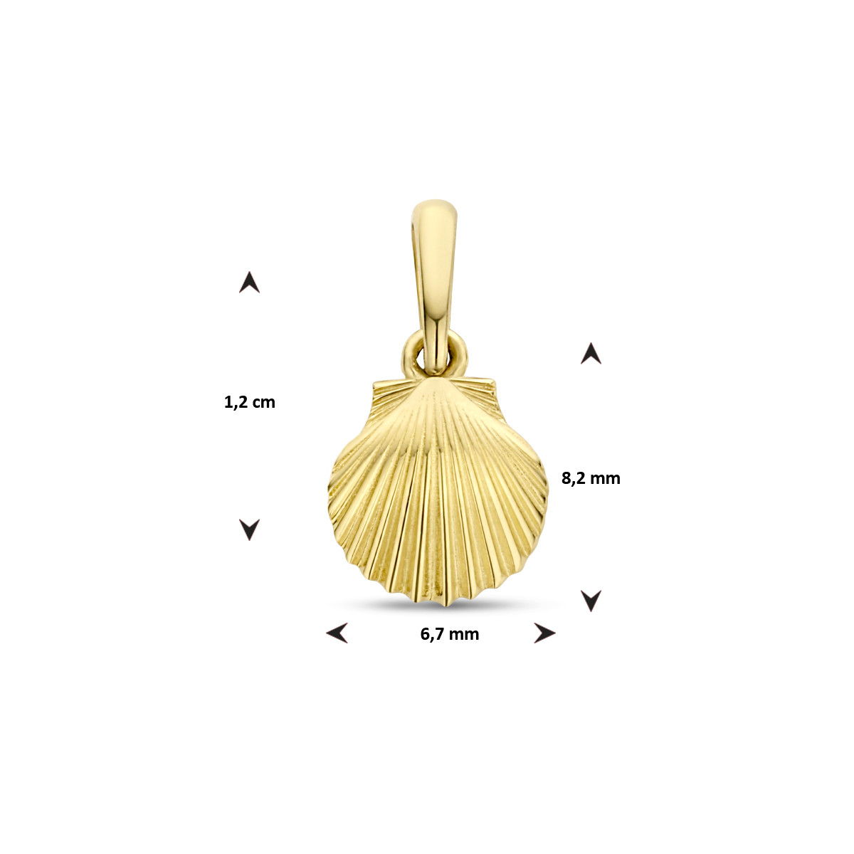 14-karaat gouden schelp hanger