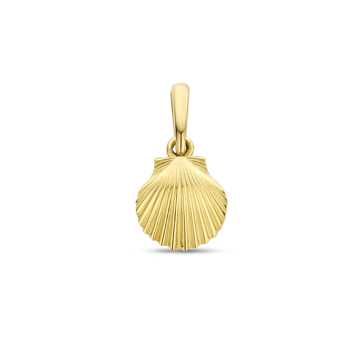 14-karaat gouden schelp hanger