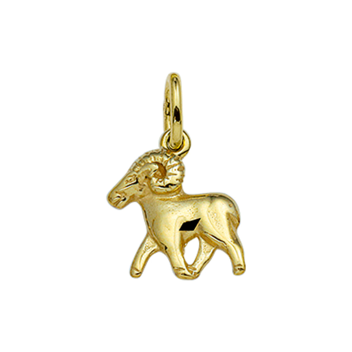 14-karaat gouden sterrenbeeld hanger