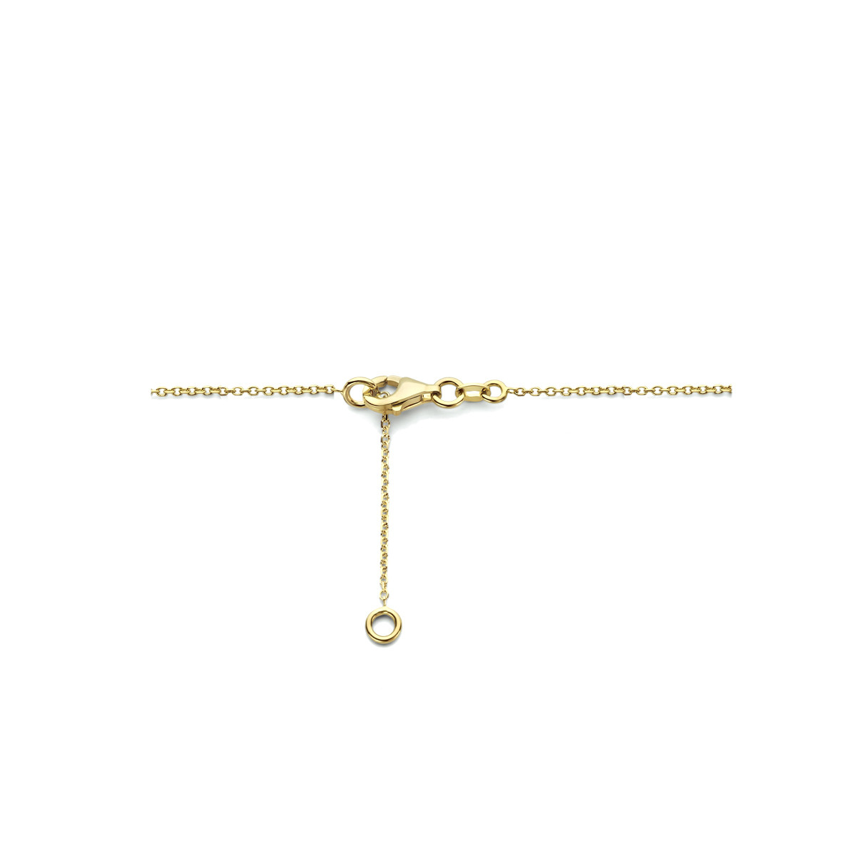 14-karaat ketting met rondjes en zoetwaterparels - Lengte 42 - 45 cm
