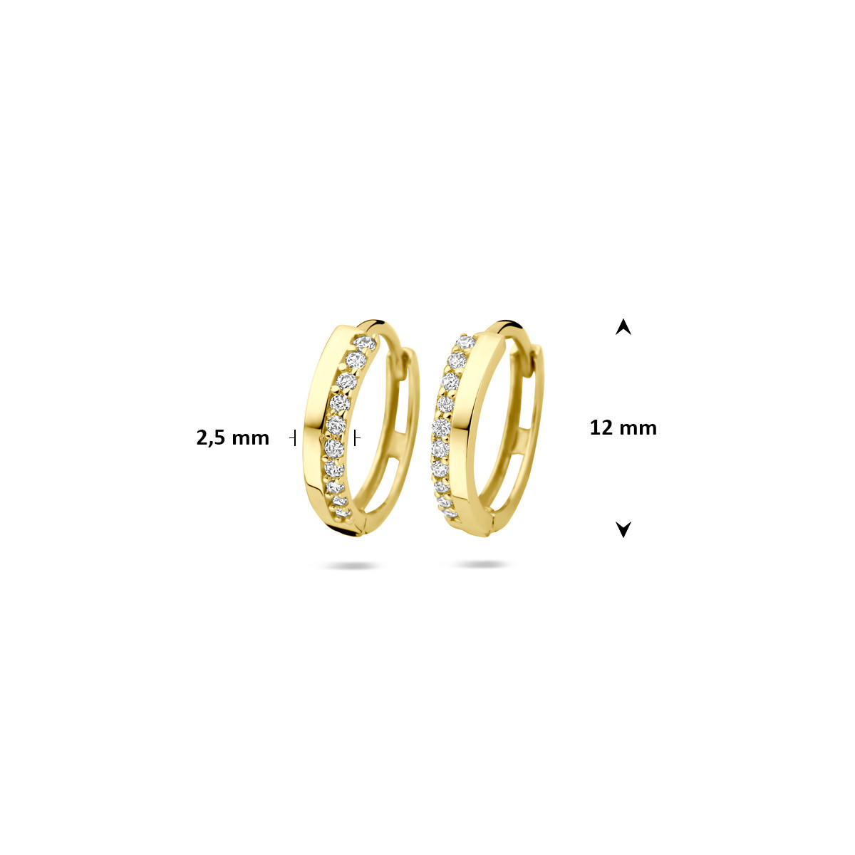 9-karaat goudkleurige oorringen met glanzende baan en zirkonia rij 2.5 mm breed - Diameter 12 mm