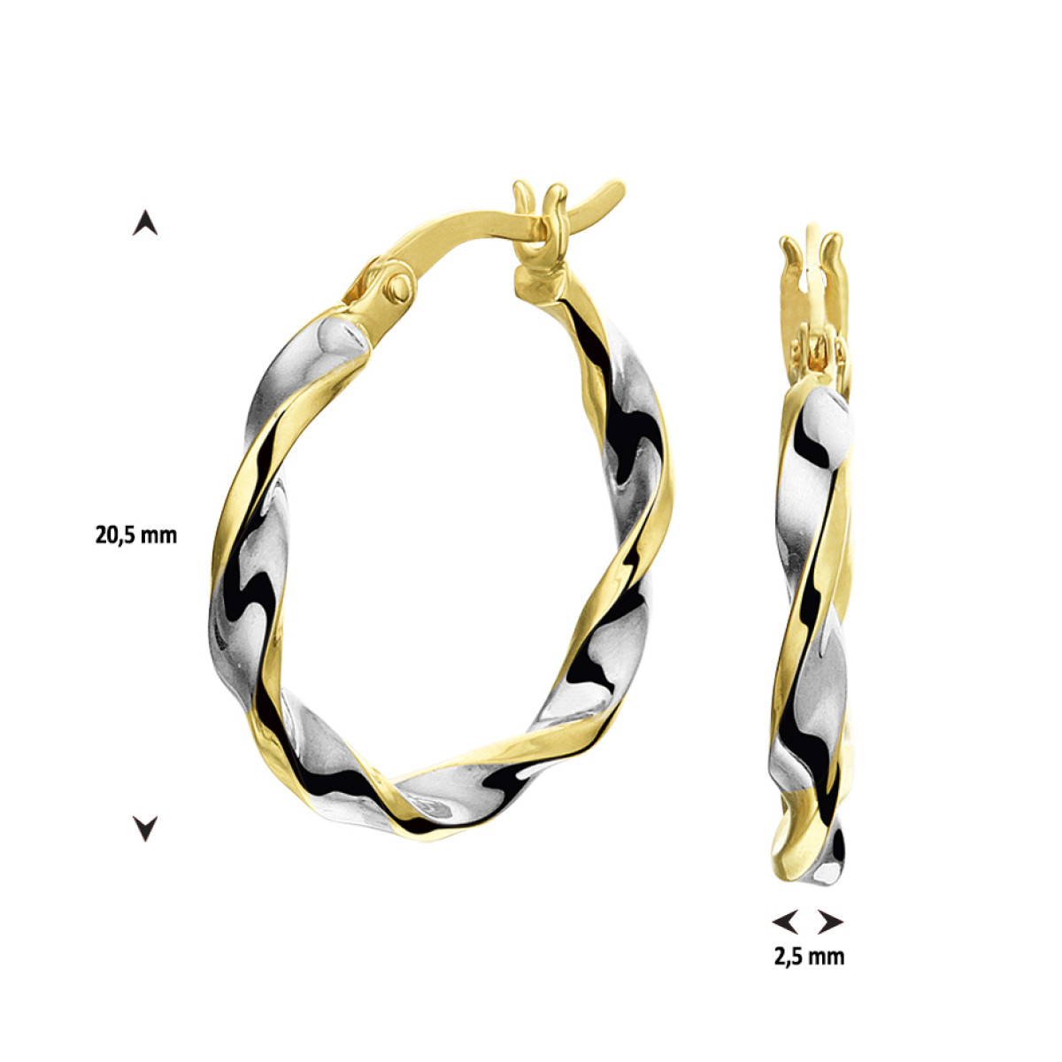 Bicolor creolen met gedraaide buis