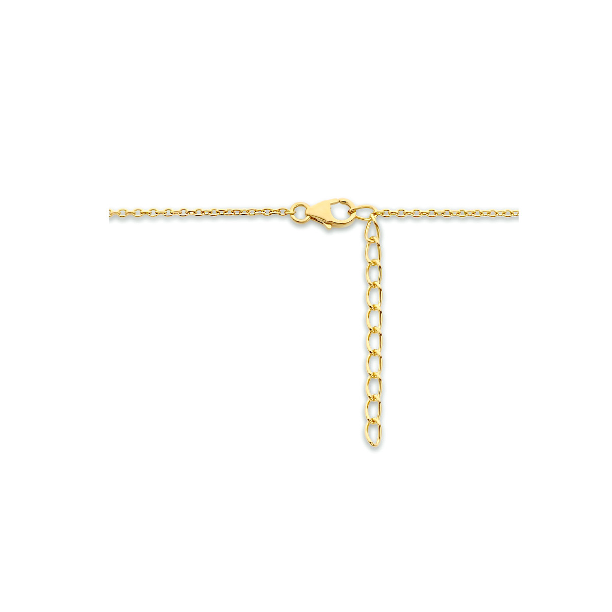 Gold palted ketting met slotjes hanger