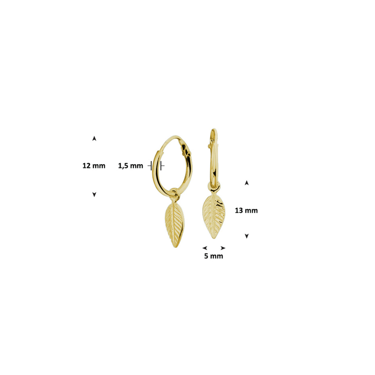 Gold plated creolen met veer
