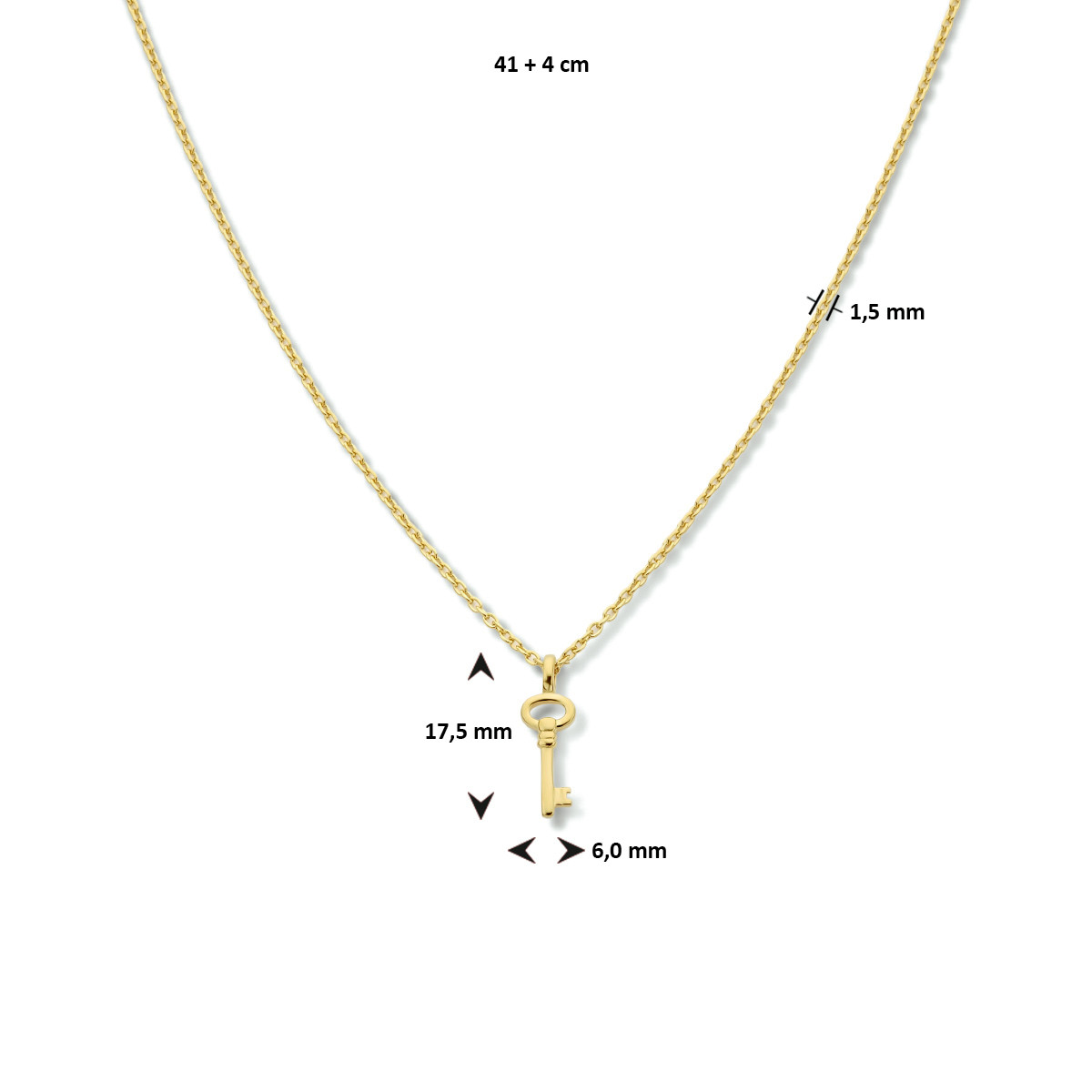 Gold plated ketting met sleutel hanger