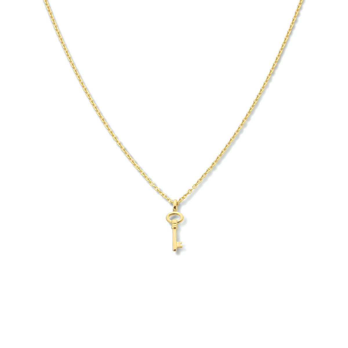 Gold plated ketting met sleutel hanger