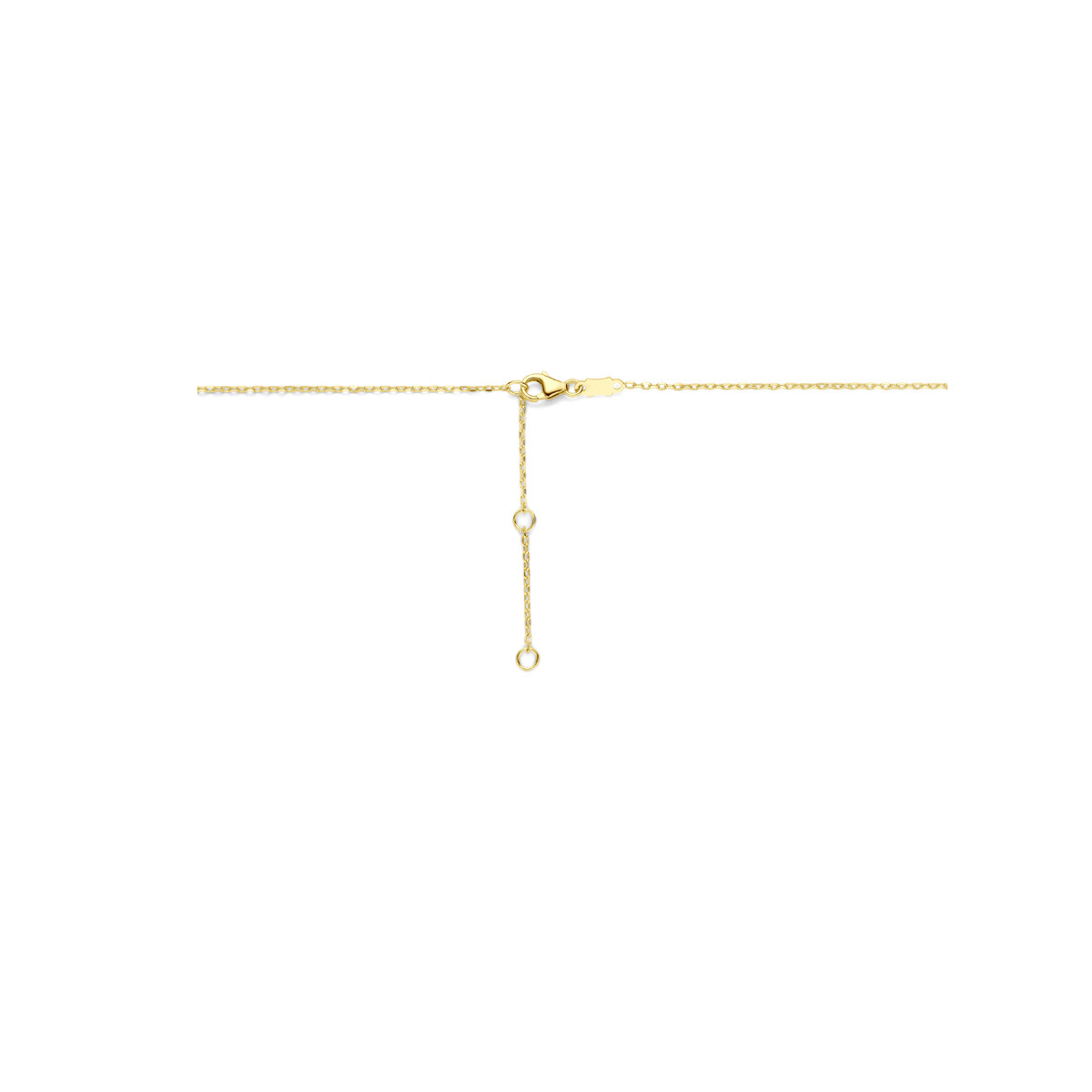 Gouden ankerketting met achthoekige onyx hanger glanzend - Lengte 40-42-44 cm