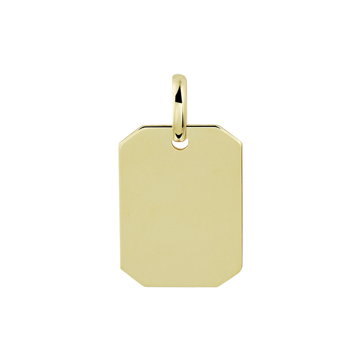 Gouden graveerhanger rechthoek - 20 x 11 mm