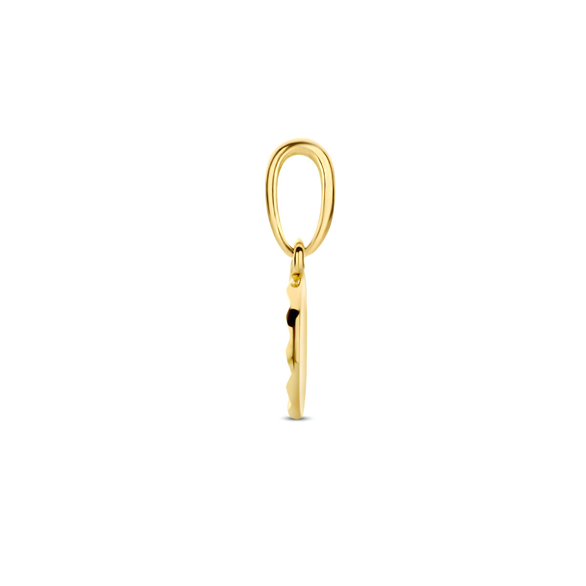 Gouden hanger gediamanteerd rondje