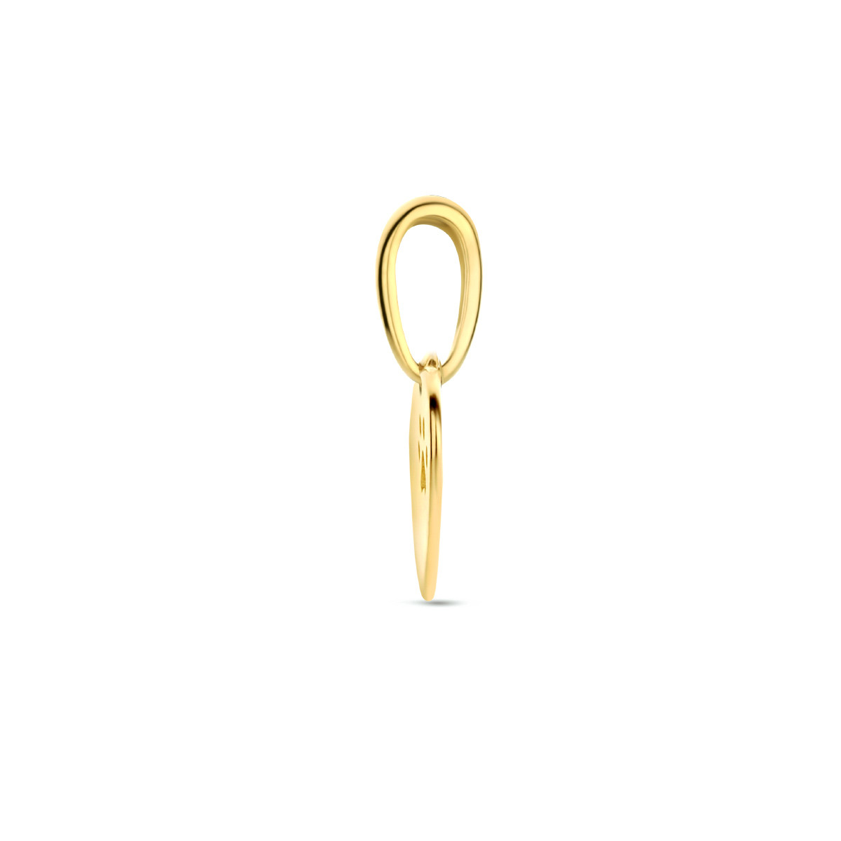Gouden hanger hartje met hondenpoot