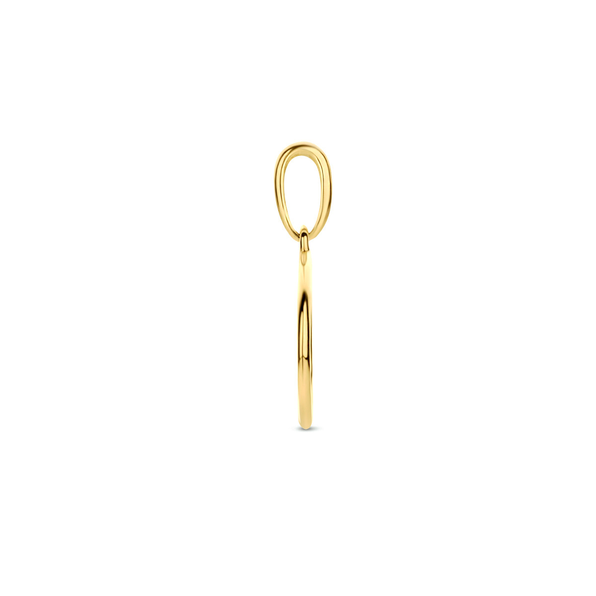 Gouden hanger open rondje 10 mm