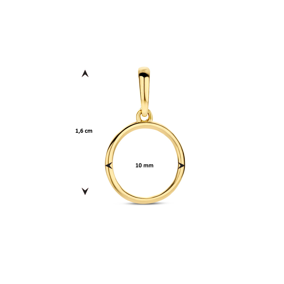 Gouden hanger open rondje 10 mm