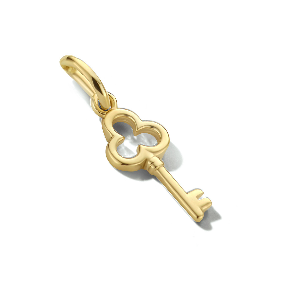 Gouden hanger sleutel
