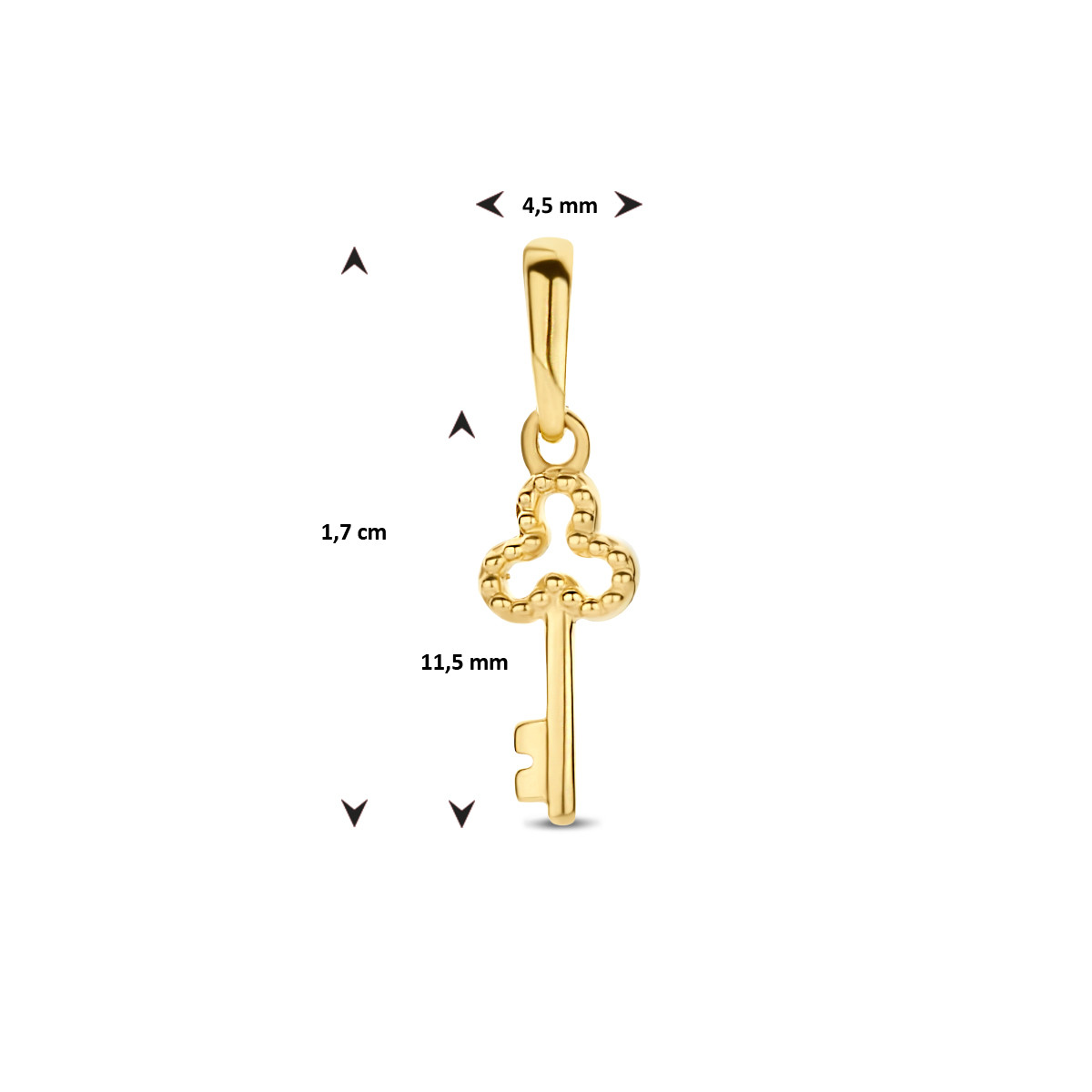 Gouden hanger sleuteltje