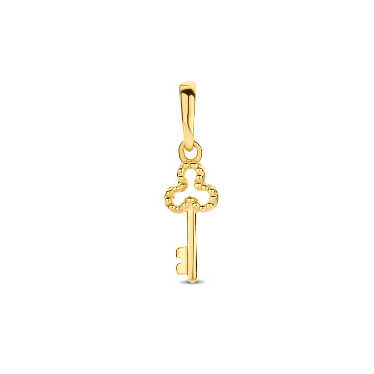 Gouden hanger sleuteltje