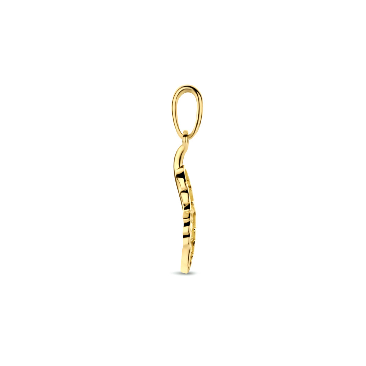 Gouden hanger veertje