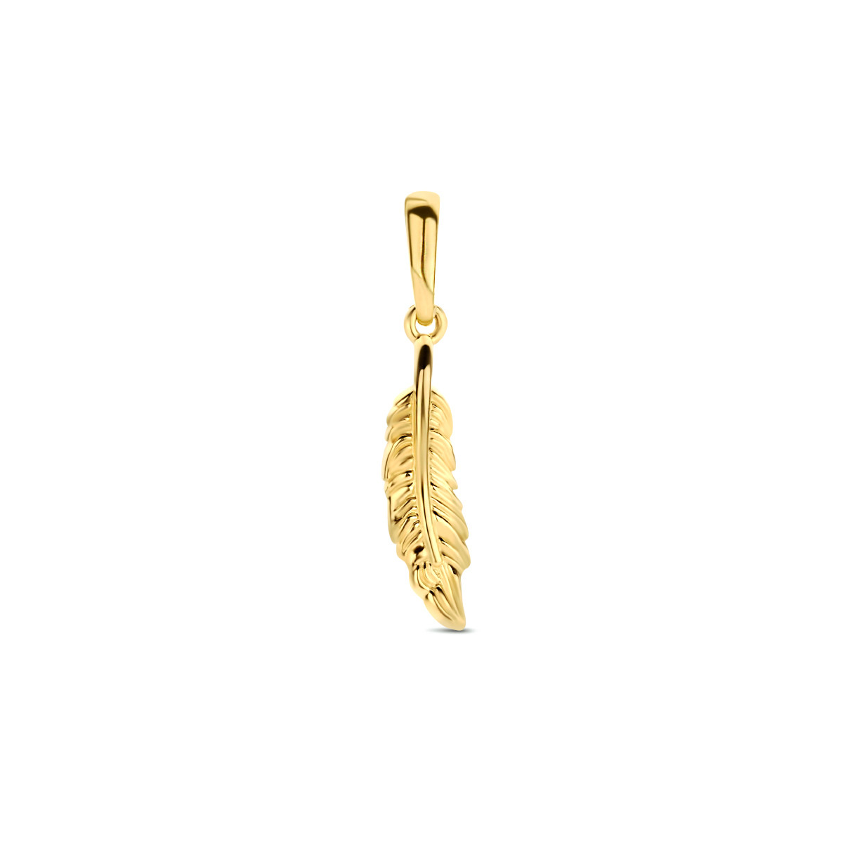 Gouden hanger veertje
