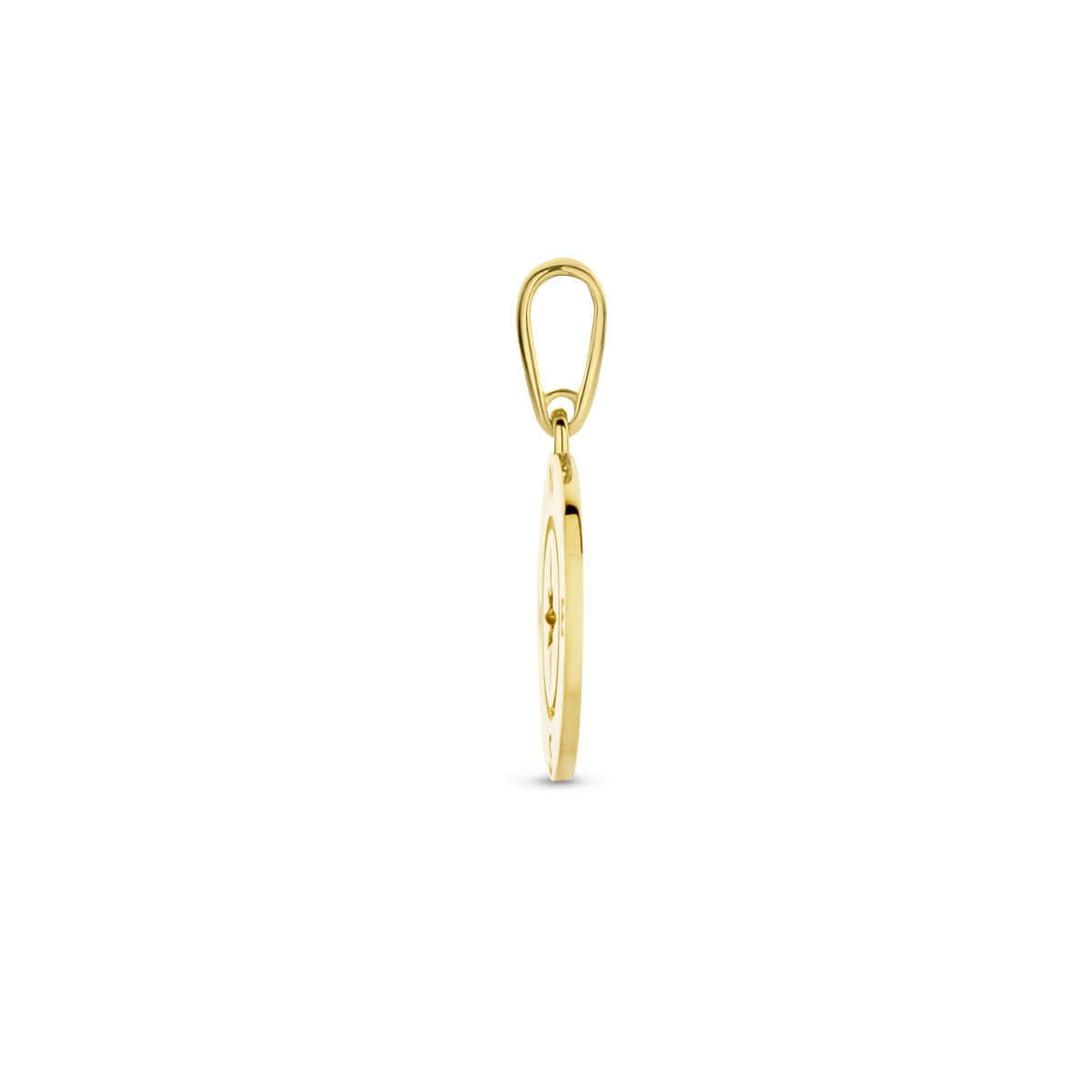 Gouden kompas hanger - 11.5 mm x 18 mm