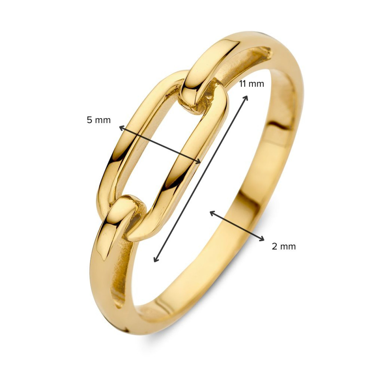 Gouden ring met verbonden schakels van 11 mm x 5 mm
