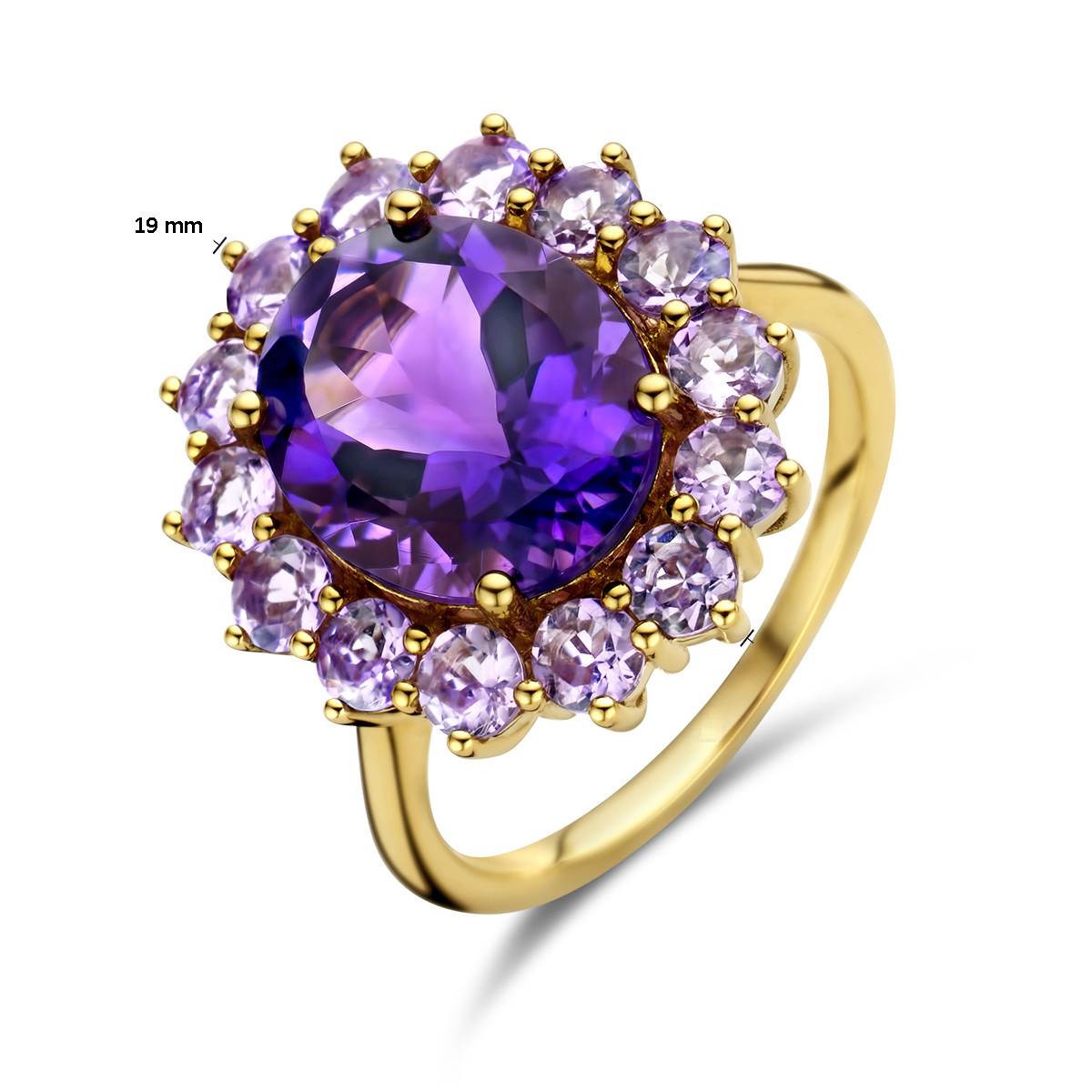 Grote 14-karaat gouden edelsteen ring met paarse amethist