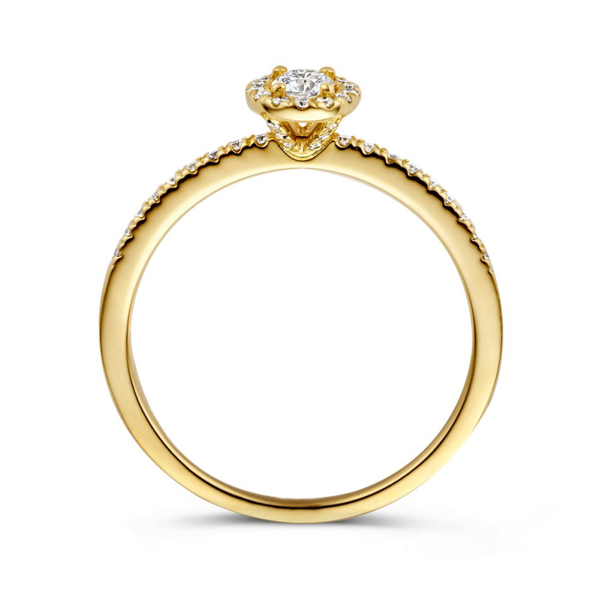 Halo ring van goud met briljant geslepen diamanten en zijstenen 0.45 crt