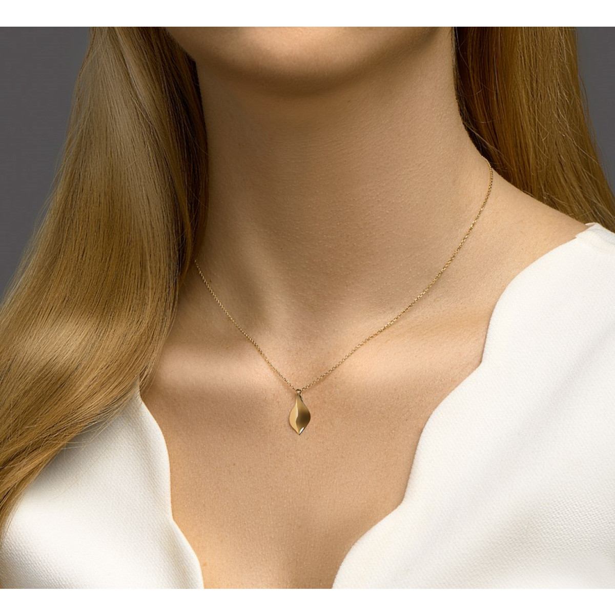 Ketting goud met gouden hanger