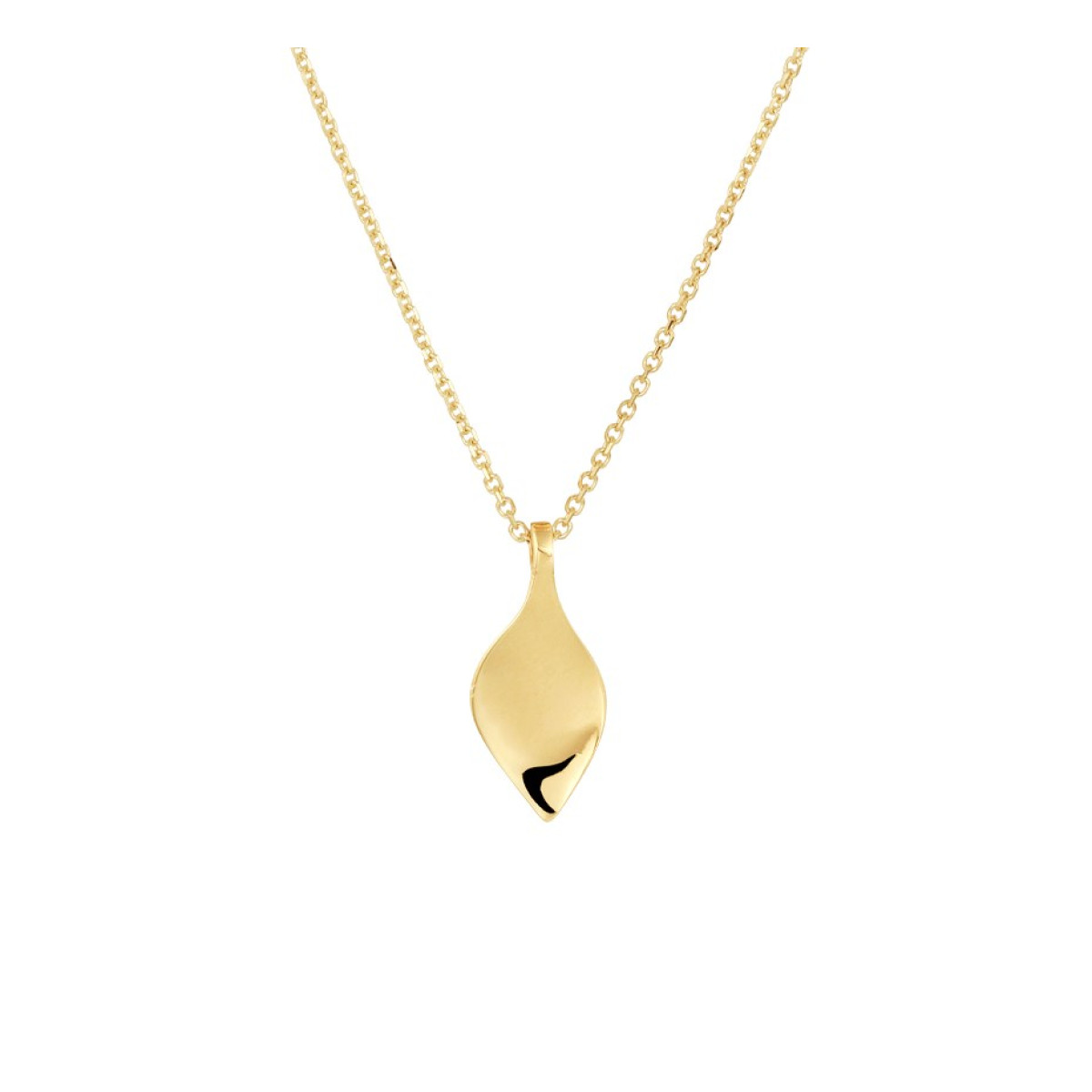 Ketting goud met gouden hanger