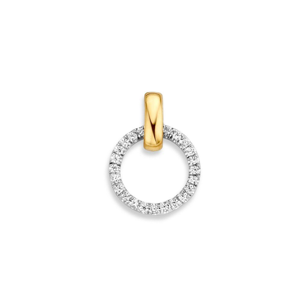 Wit- en geelgouden hanger met zirkoniacirkel