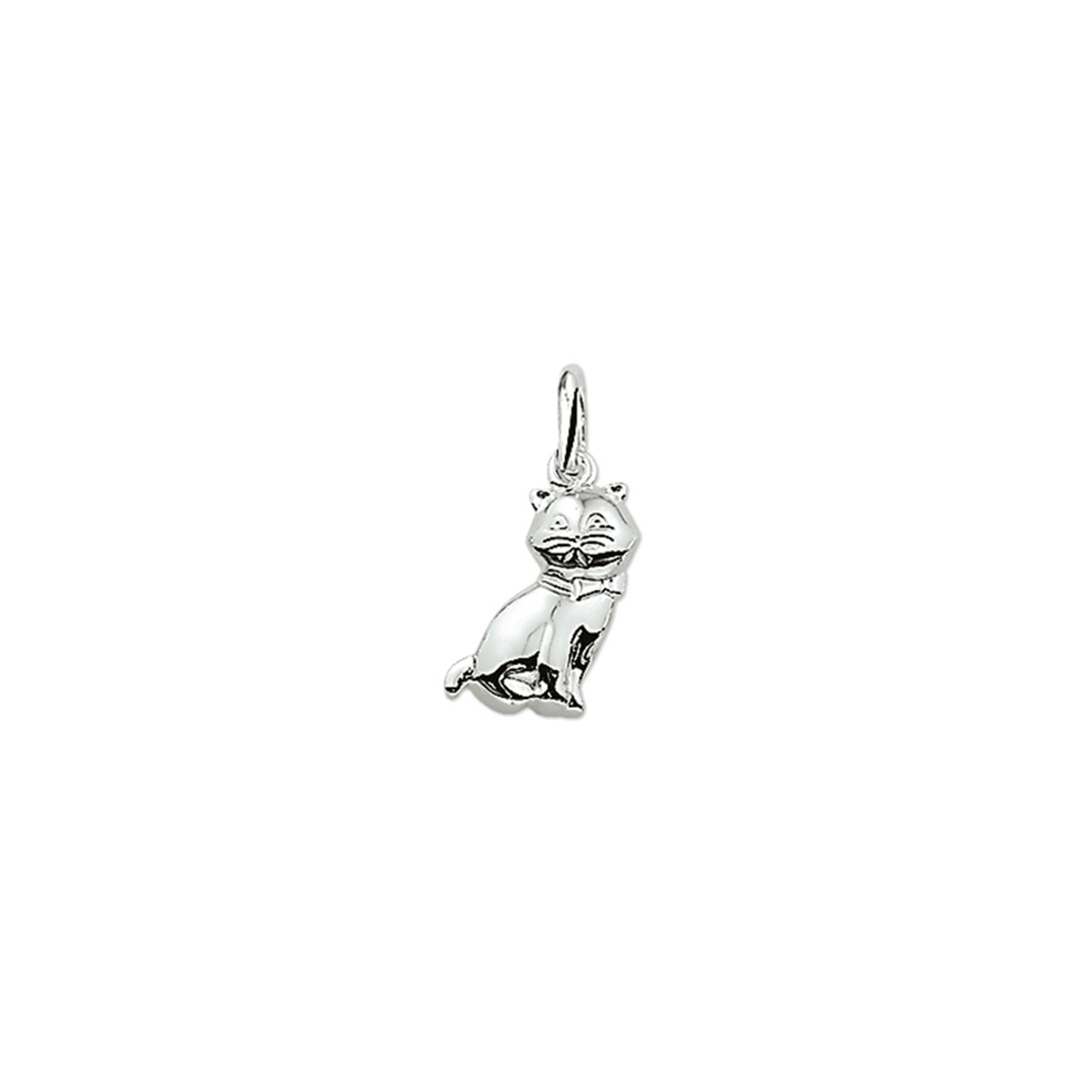 Zilveren hanger met zittende kat glanzend 10 mm breed - Hoogte 15.5 mm