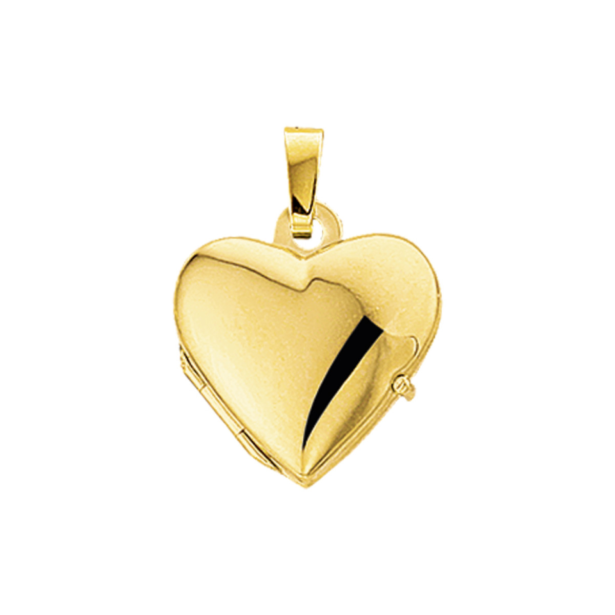 Gouden medaillon hanger hart glanzend 12x14 mm