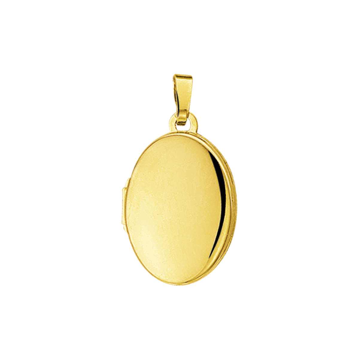 Gouden medaillon ovaal glanzend 18.5x14 mm