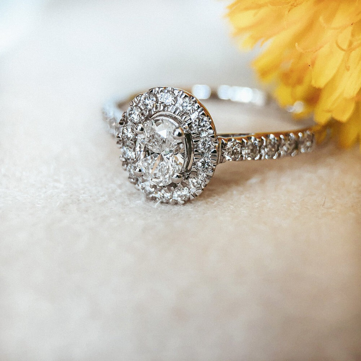 Aurore Rosie RA25400050 halo ring witgoud 18-karaat ovaal lab grown diamant 0.50 crt