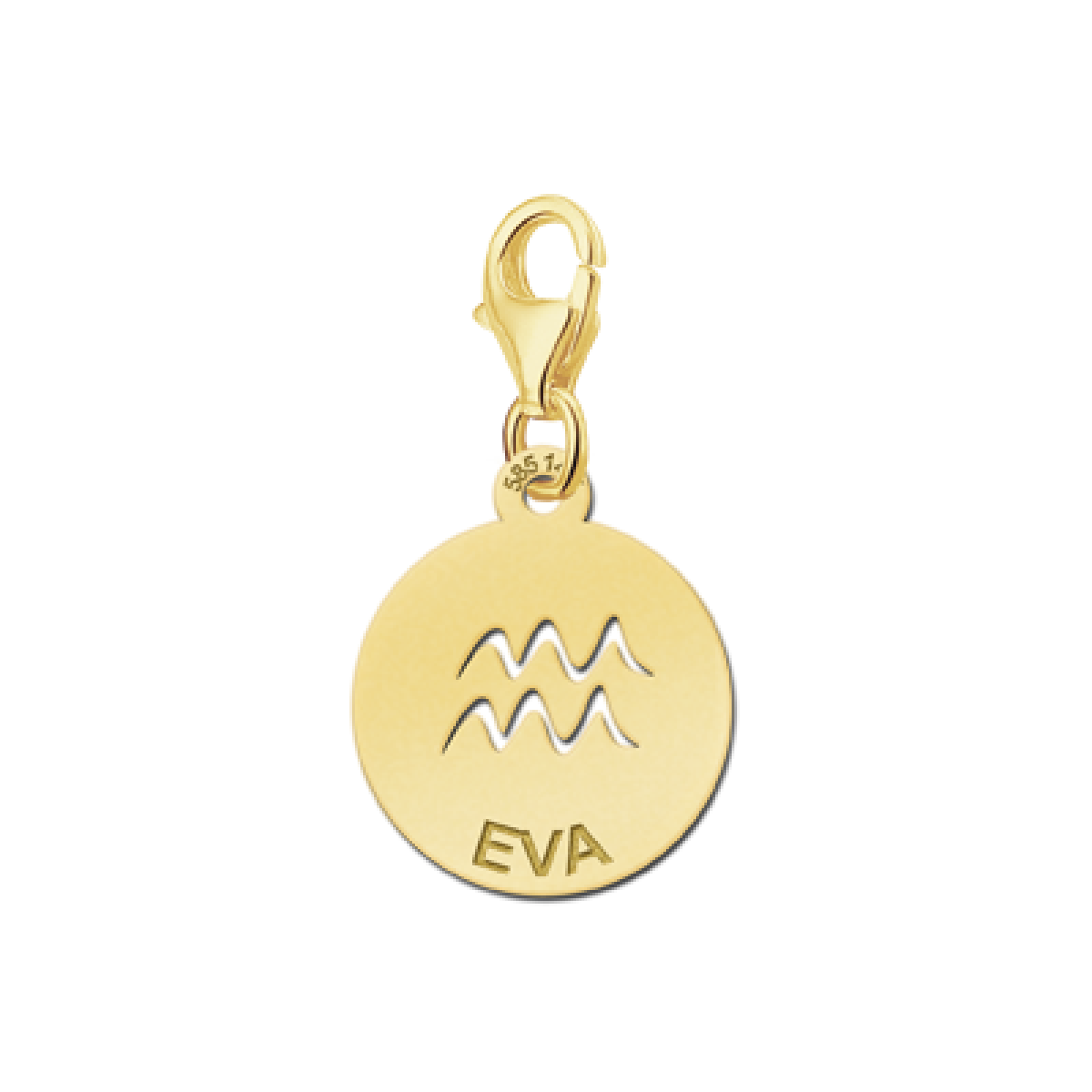 Gouden bedel sterrenbeeld waterman Names4ever