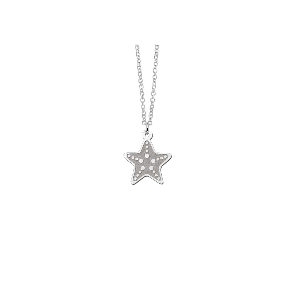 Zeester hanger van zilver