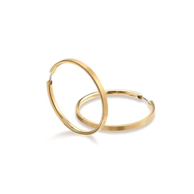 boccia-titanium-0508-09-gold-plated-titanium-oorringen-mat-diameter-40-mm