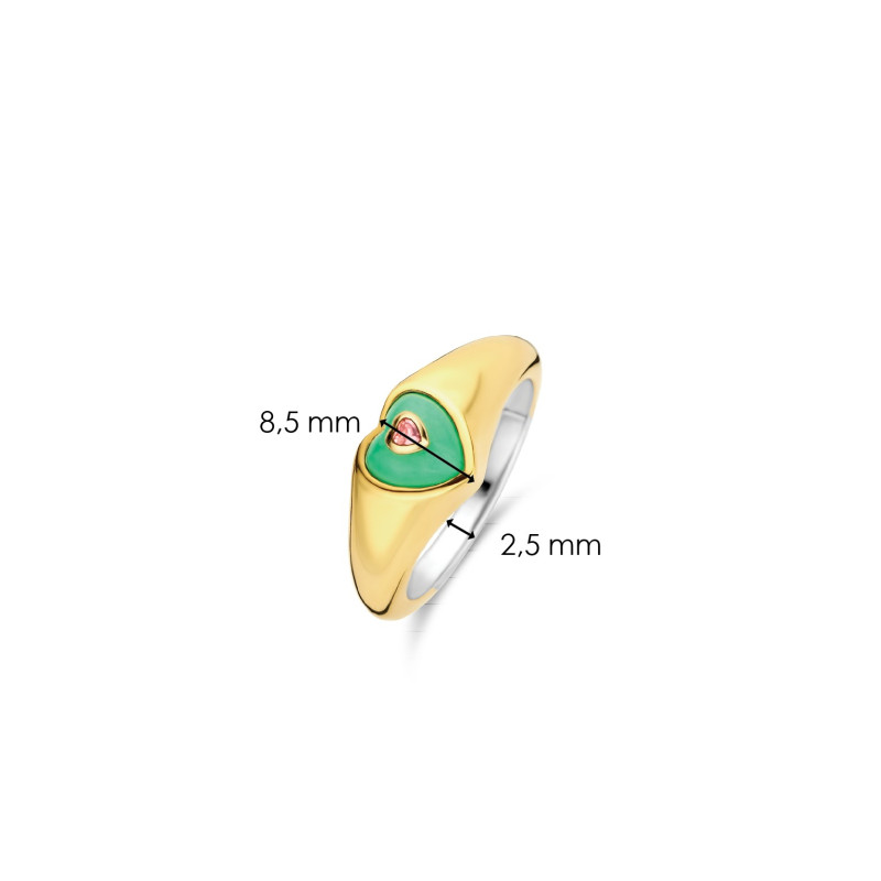 ti-sento-danie-bles-12195ja-54-ring/variant/binnen-diameter-17-25-mm-ringmaat-54