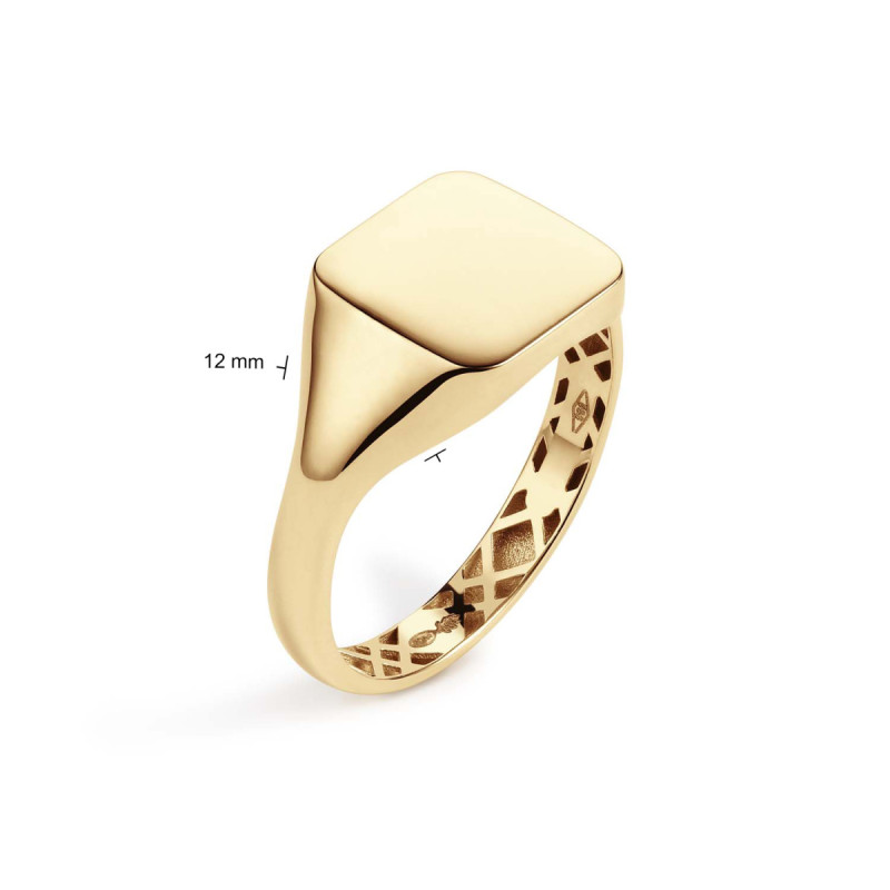 glow-214-2120-14-karaat-gouden-zegelring-modern-ontwerp-12-mm-breed