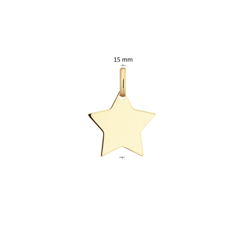 glow-242-0050-15-14-karaat-gouden-graveerhanger-in-stervorm-zonder-steen-hoogte-15-mm
