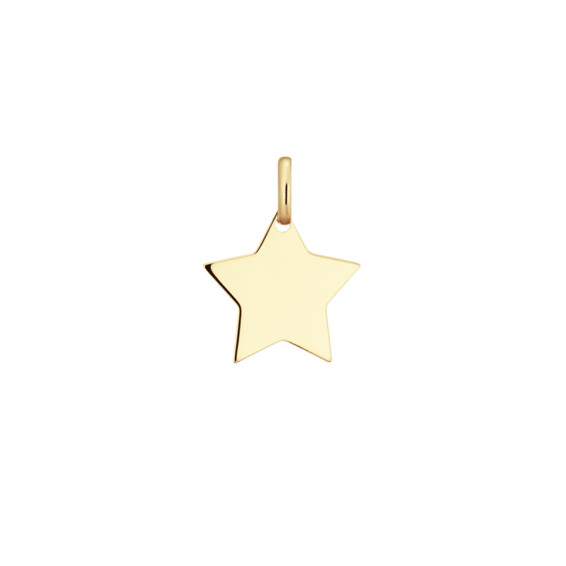 glow-242-0050-15-14-karaat-gouden-graveerhanger-in-stervorm-zonder-steen-hoogte-15-mm