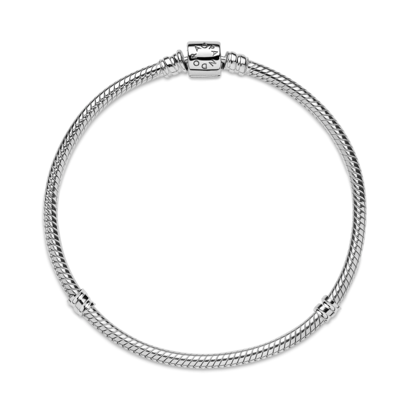 pandora-moments-598816c00-zilveren-snake-chain-basis-armband