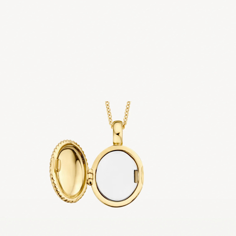 blush-6081ygo-14-karaat-gouden-medaillon-ovaal-en-koordmotief-11-5-mm-breed-hoogte-17-mm