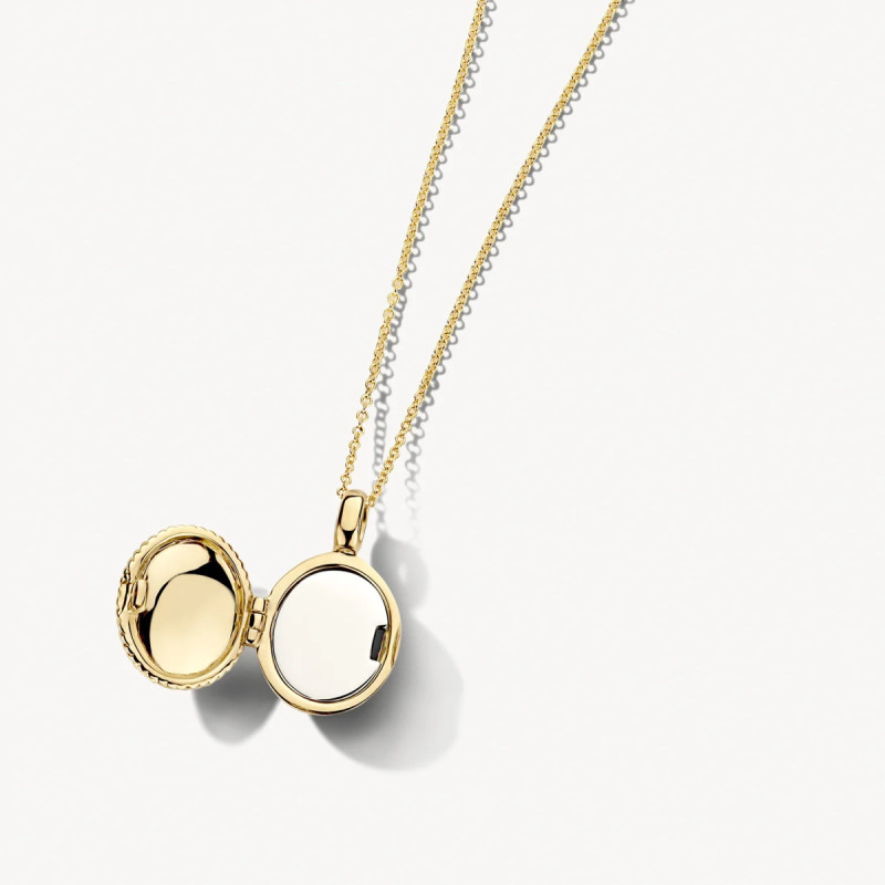 blush-6081ygo-14-karaat-gouden-medaillon-ovaal-en-koordmotief-11-5-mm-breed-hoogte-17-mm