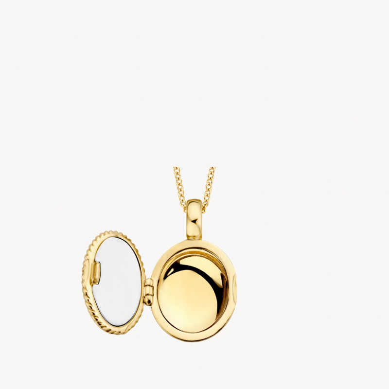 blush-6081ygo-14-karaat-gouden-medaillon-ovaal-en-koordmotief-11-5-mm-breed-hoogte-17-mm