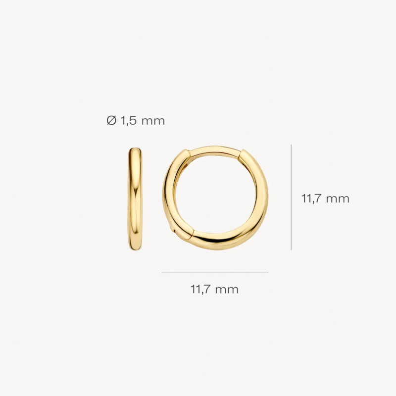 blush-7233ygo-14-karaat-gouden-oorringen-1-6-mm-breed-diameter-11-5-mm