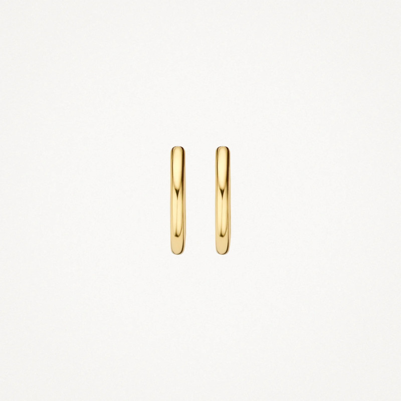 blush-7233ygo-14-karaat-gouden-oorringen-1-6-mm-breed-diameter-11-5-mm