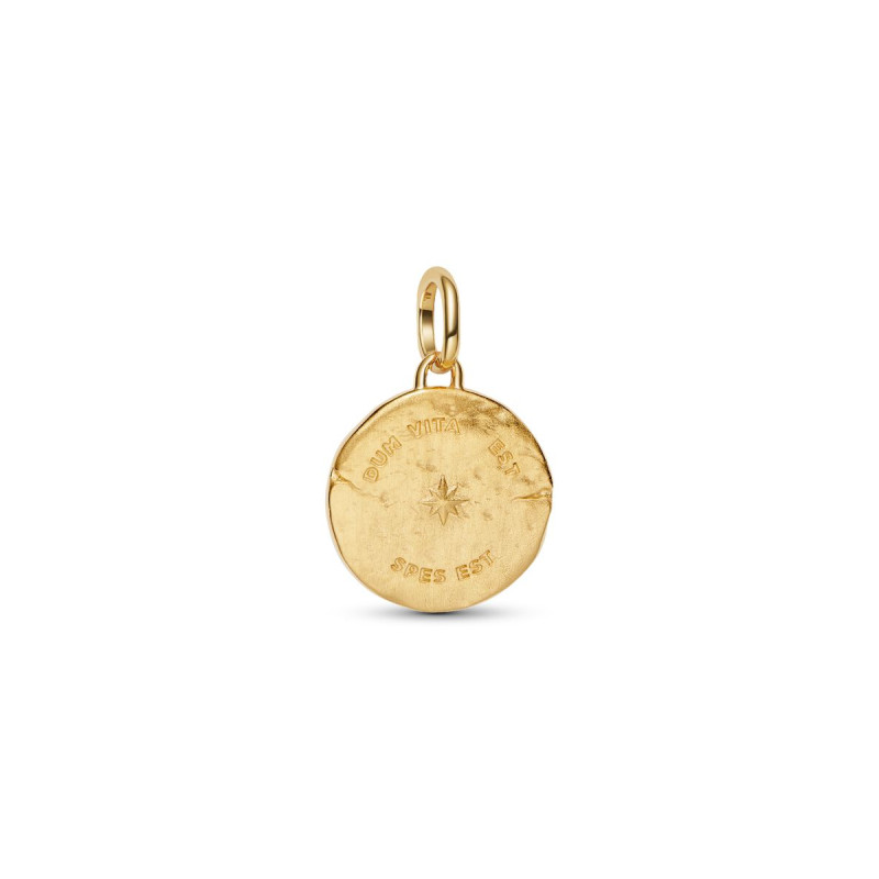 pandora-me-764082c01-hangende-bedel-met-zwaluw-en-zirkonia-gold-plated