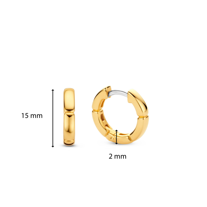 ti-sento-oorbellen-7889sy-klapoorringen-bicolor-met-zirkonia