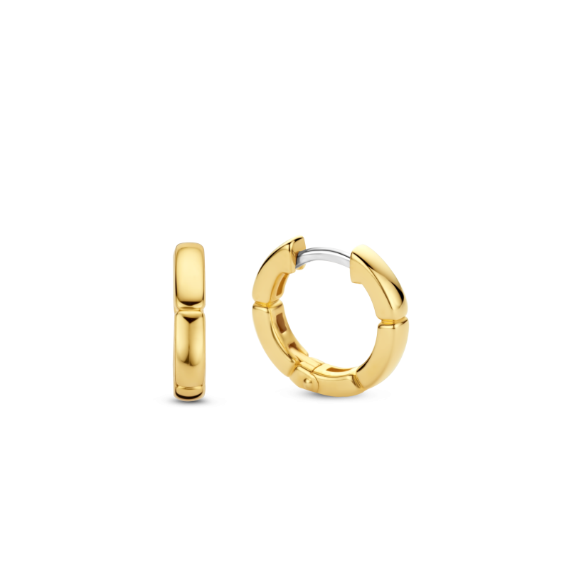 ti-sento-oorbellen-7889sy-klapoorringen-bicolor-met-zirkonia
