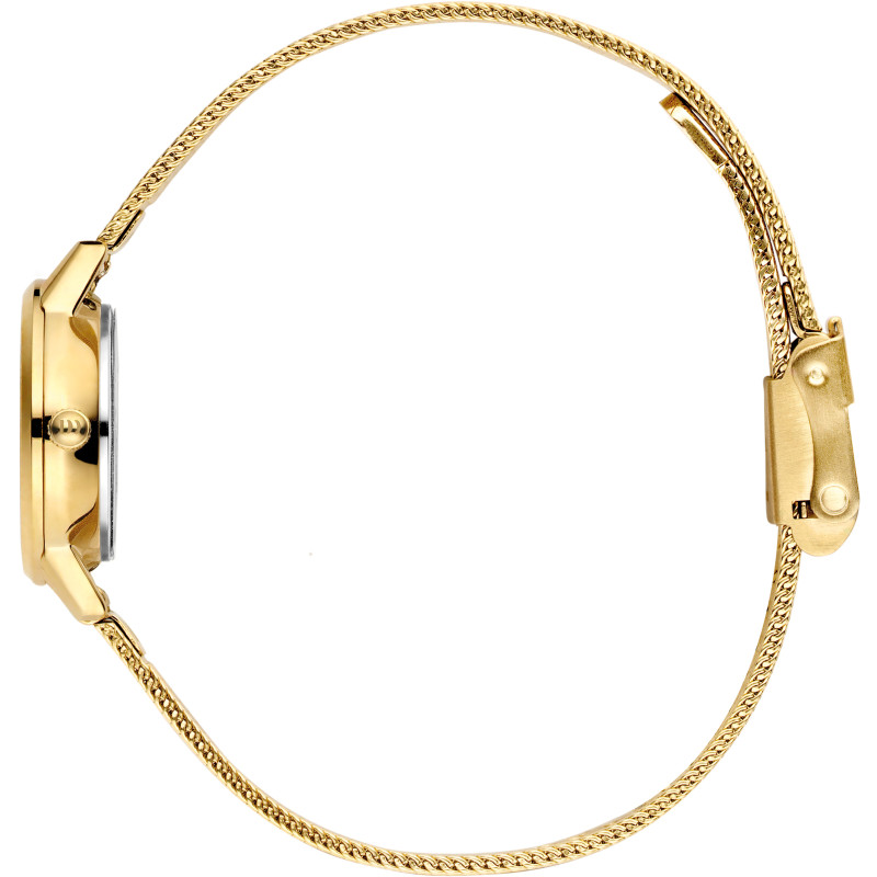 danish-design-akilia-husky-hazel-iv04q1268-dameshorloge-goudkleurig-met-bruine-wijzerplaat