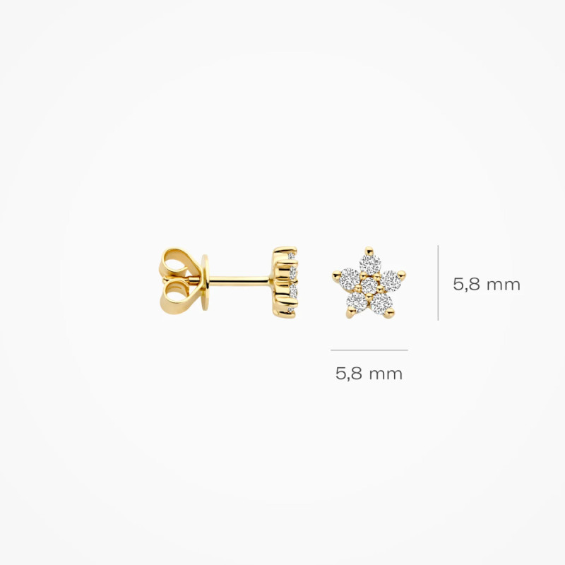 blush-lab-diamonds-lg7018y-gouden-oorknopjes-met-lab-grown-diamanten-ster-0-25-crt-diameter-5-8-mm